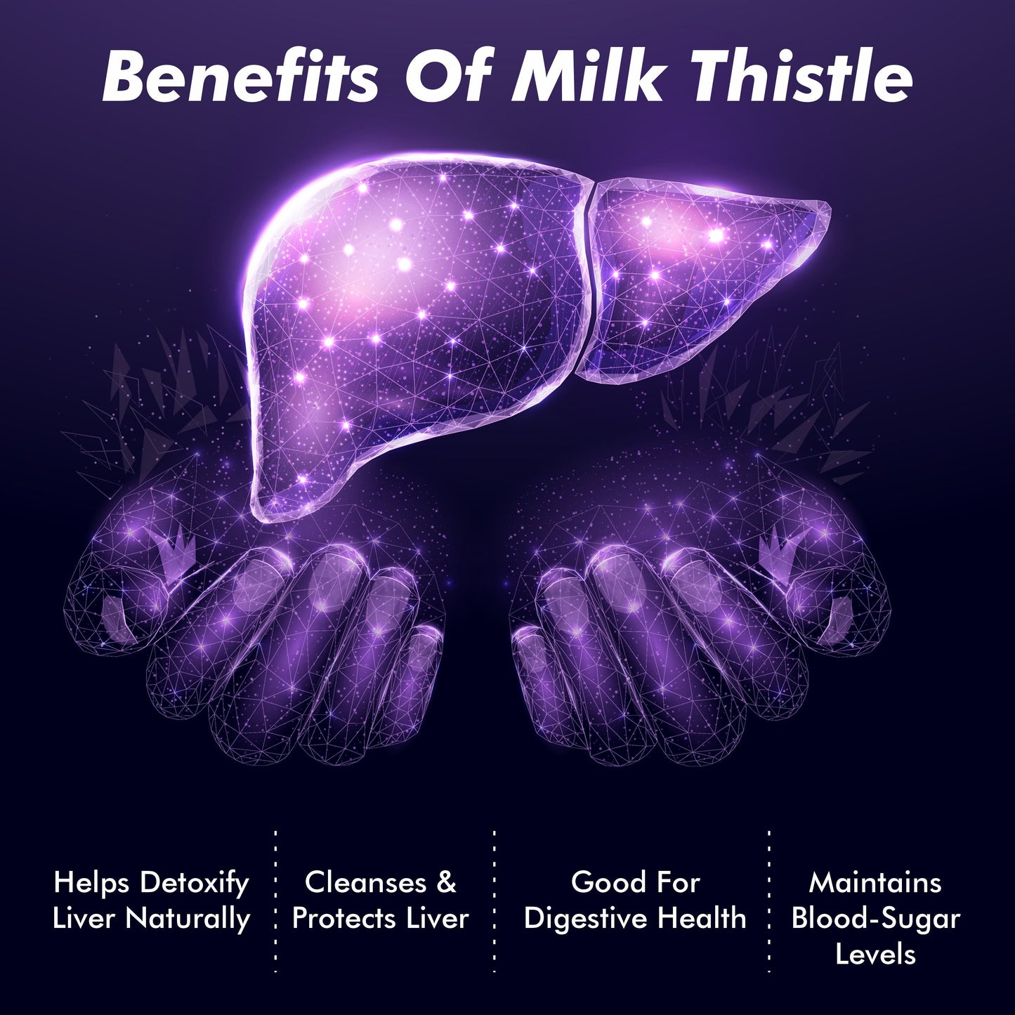 Vitaminnica Milk Thistle- Natural Liver Support- 60 Capsules