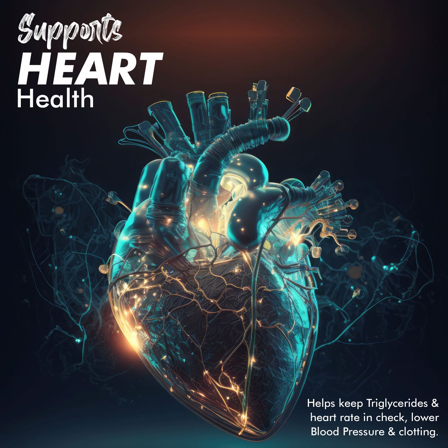 Vitaminnica Omega 3- Better Heart Health- 60 Softgels